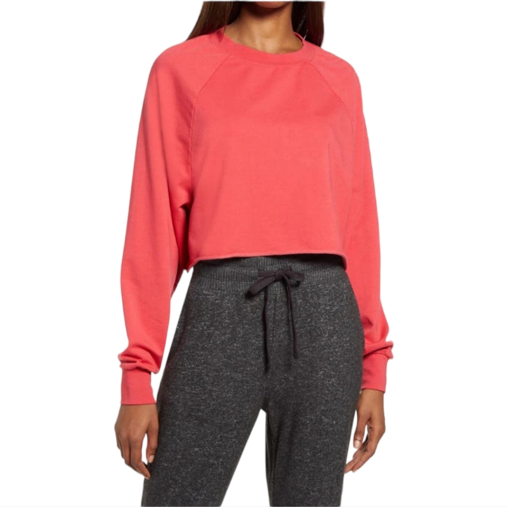 NWT Treasure & Bond - Soft light Red Letter Cropped Sweatshirt